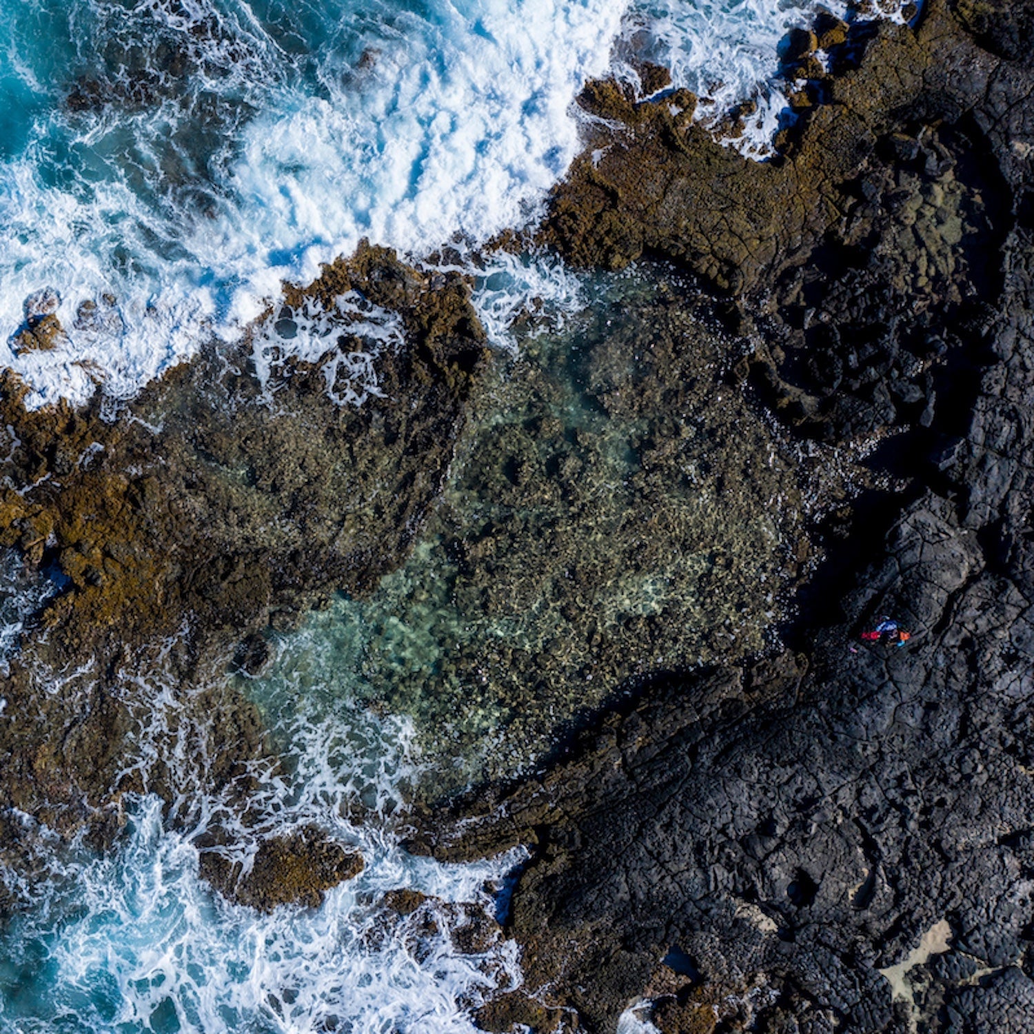 Hawaiian Body Care | Hawaiian Skincare Products