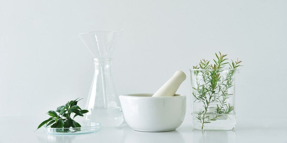 Is Botanical Skincare the Future of Skincare?