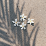 Pikake Jasmine Hydrating Body Mist